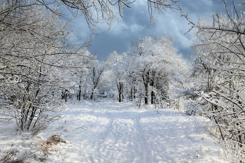 «Застывшая мелодия зимы» / Прогулка за городом.