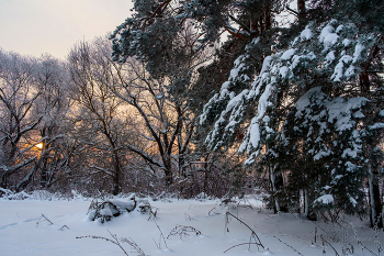 Зимний рассвет. / ***
