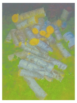 формула тепла 3 / ***