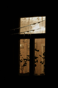 Тени предков / ***