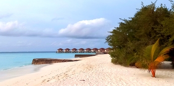 Тёплые море воздух и песок / Тёплые море воздух и песок