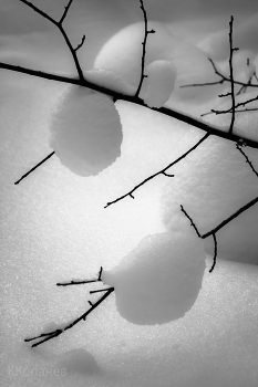 Январь / Январь