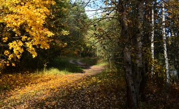 Осенний путь / ***