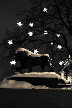 рождественская сказка / рождественская сказка