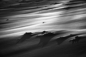 Январь / Где - то