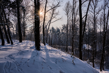 Зимний день 9 / ***
