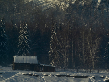В первых лучах солнца / Охотничья заимка на р. Тоора-Хем
Тоджинский кожуун. Тува.