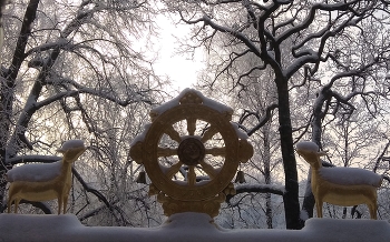 Коленонепреклоненные / ***