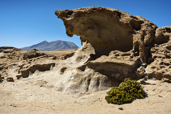 Grotto / пустыня