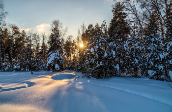 Январский вечер / 31 января 2026-го года. Восточное Подмосковье, Дрезна