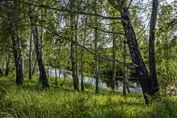 &nbsp; / Вспоминая....