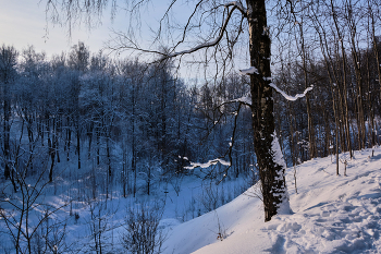 Зимний день 13 / ***