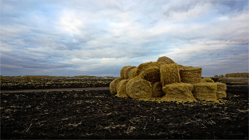 В поле осеннем / Октябрьским вечером