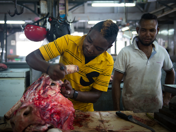 Декапитация / ***