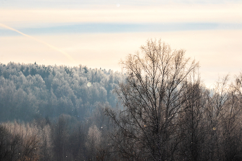 Февральская картинка. / ***