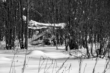 Пейзажизнь / ***
