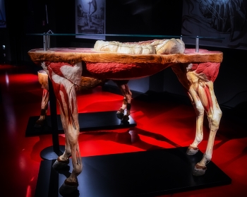 Сюрреализм. / Участник тематического конкурса 35AWARDS: Сюрреализм. По
результатам основного голосования работа автора вошла в TOP
33% лучших фотографий конкурса.