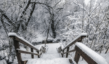 Спуск к речке. / Парк природного заказника реки Сетунь.
