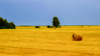 Сентябрь / Осень на Алтае