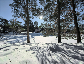 Белое солнце февраля / 21 февраля 2026 года, Подмосковье