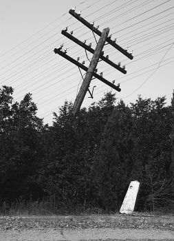 &nbsp; / придорожные кривые мотивы