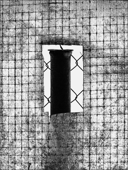 Жизнь вокруг / ***