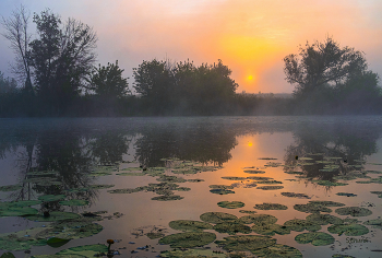 Утро летнее. / Озеро Студёное.