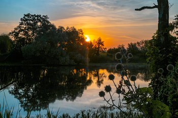 Утро в августе. / Озеро Малое Нечаево.