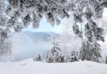 Зимний занавес / ***
