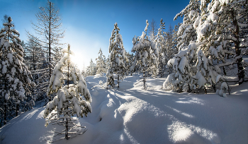 Сверкающий полдень / ***