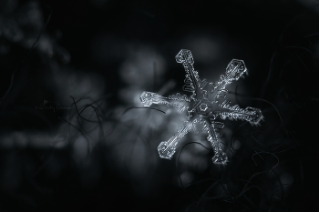 Шестое чувство природы... / ***