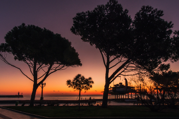 Последний рассвет уходящего года... / Ялта, 31 декабря 2024
Смотрите с мелодией
http://rutube.ru/video/6088d0a5ab968122466fdd527c1e633d/