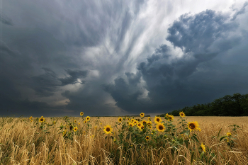 Буря мглою небо кроет / ***
