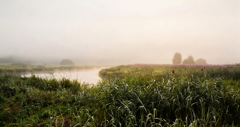 Туманное утро / Пейзаж Беларуси