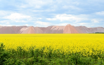 Весенний пейзаж / Белорусские горы