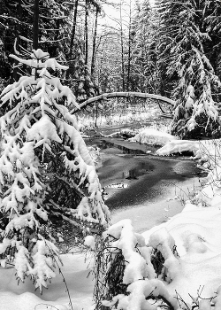А завтра была весна... / ***