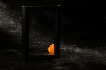 Этюд с физалисом х / 2026