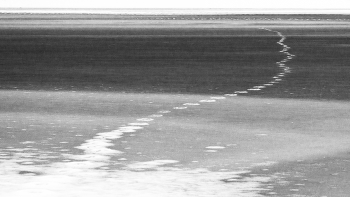 Жизнь вокруг / ***