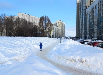 Люберцы (Московская область) / ***