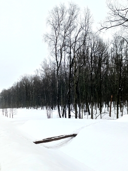 Южная Битца / ***