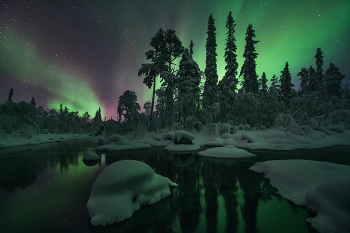 Сон... / Кольский февраль 2026
Этой осенью запланирована поездка в Кенозерье. Места есть
В июне 26-го запланировал второй летний тур на Ладогу с 20 по 28 июня Осталось 2 места
Расписание туров:
23-31 мая 2026 Кенозерье - 2 места 20-28 апреля Нерпы на Ладоге. Даты примерные - 2 места
6-14 июня 2026 Ладога. Освободилось 1 место
20-28 июня 2026.Ладога. Лахденпохья - 2 места
11-26 июля 2026 Архангельская область - 2 места
29 августа-13 сентября 2026 Озеро Джека Лондона 3 места
19-27 сентября 2026 Кенозерье. Места есть 3-11 октября 2026 Ладога. Питкяранта. Места есть
4-12 ноября 2026 Кольский. Места есть
30 декабря - 10 января 2027 Новый год в Кимже. Места есть
23 января - 6 февраля 2027 Архангельская область. Места есть
20-28 февраля 2027 Кольский. Места есть
22-30 мая 2027 Кенозерье. Места есть 5-13 июня 2027 Ладога. Лахденпохья. Места есть
19-27 июня 2027 Ладога. Питкяранта. Места есть
28 августа - 12 сентября 2027 Озеро Джека Лондона. Места есть
18 сентября - 3 октября 2027 Ладога. Лахденпохья. Места есть Теперь в MAX наконец-то появилась возможность создать канал. Переходите по ссылке и подписывайтесь max.ru/join/IXgog... Похоже телеграм очень скоро придет кирдык
Сайт phototourtravel.ru