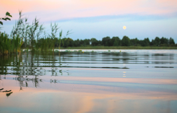 Розовый вечер / ***