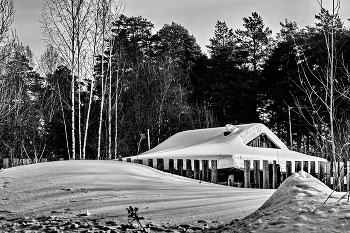 В снегах. / Томская область.