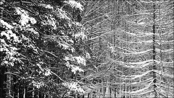 ГДГ-4 / (гимнастика для глаз)