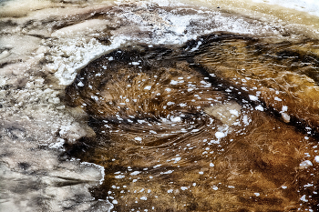 Жизнь вокруг / ***