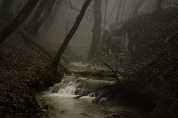 Ручей в лесу / Туманное утро