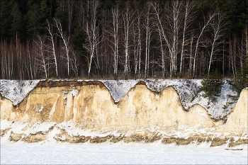 анатомия / ***