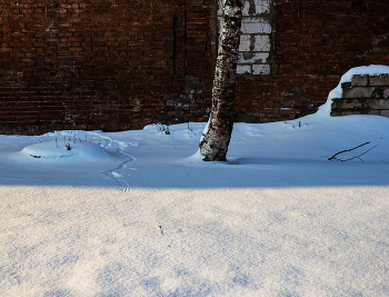 В городе N / ...