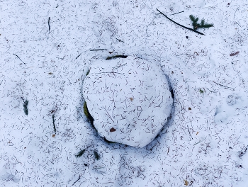 Не мусорка / ***