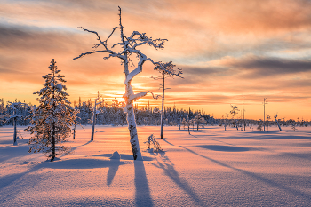 Где-то на болотах... / Карелия февраль 2026
Этой осенью запланирована поездка в Кенозерье. Места есть
В июне 26-го запланировал второй летний тур на Ладогу с 20 по 28 июня Осталось 2 места
Расписание туров:
23-31 мая 2026 Кенозерье - 2 места 20-28 апреля Нерпы на Ладоге. Даты примерные - 2 места
6-14 июня 2026 Ладога. Освободилось 1 место
20-28 июня 2026.Ладога. Лахденпохья - 2 места
11-26 июля 2026 Архангельская область - 2 места
29 августа-13 сентября 2026 Озеро Джека Лондона 3 места
19-27 сентября 2026 Кенозерье. Места есть 3-11 октября 2026 Ладога. Питкяранта. Места есть
4-12 ноября 2026 Кольский. Места есть
30 декабря - 10 января 2027 Новый год в Кимже. Места есть
23 января - 6 февраля 2027 Архангельская область. Места есть
20-28 февраля 2027 Кольский. Места есть
22-30 мая 2027 Кенозерье. Места есть 5-13 июня 2027 Ладога. Лахденпохья. Места есть
19-27 июня 2027 Ладога. Питкяранта. Места есть
28 августа - 12 сентября 2027 Озеро Джека Лондона. Места есть
18 сентября - 3 октября 2027 Ладога. Лахденпохья. Места есть
Сайт phototourtravel.ru